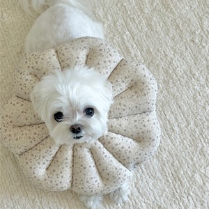 【即納】EYOU ピオナ ネックカラー（ソフトブロッサム）｜ラベンダー