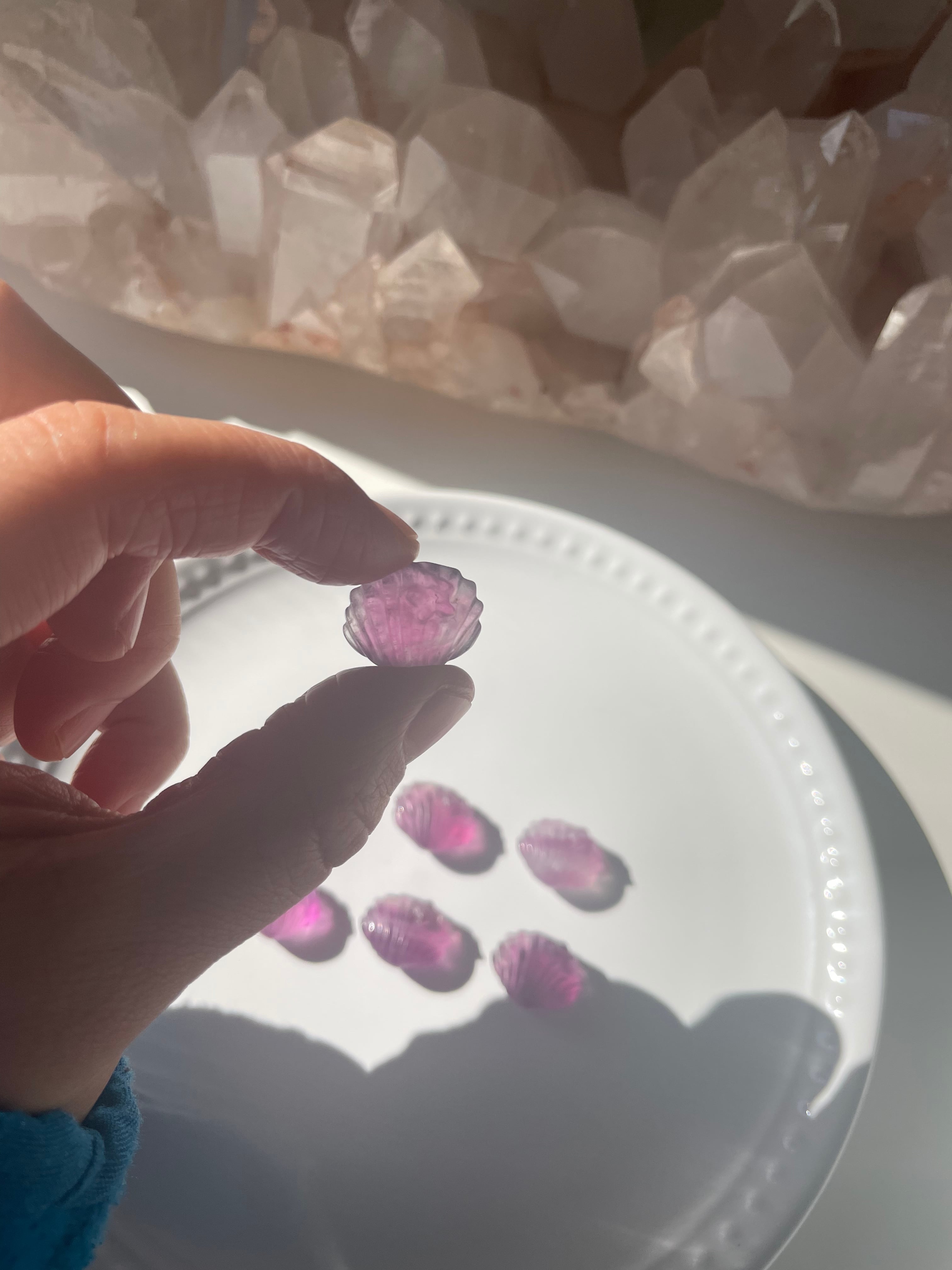 Fluorite Shell / フローライト　貝