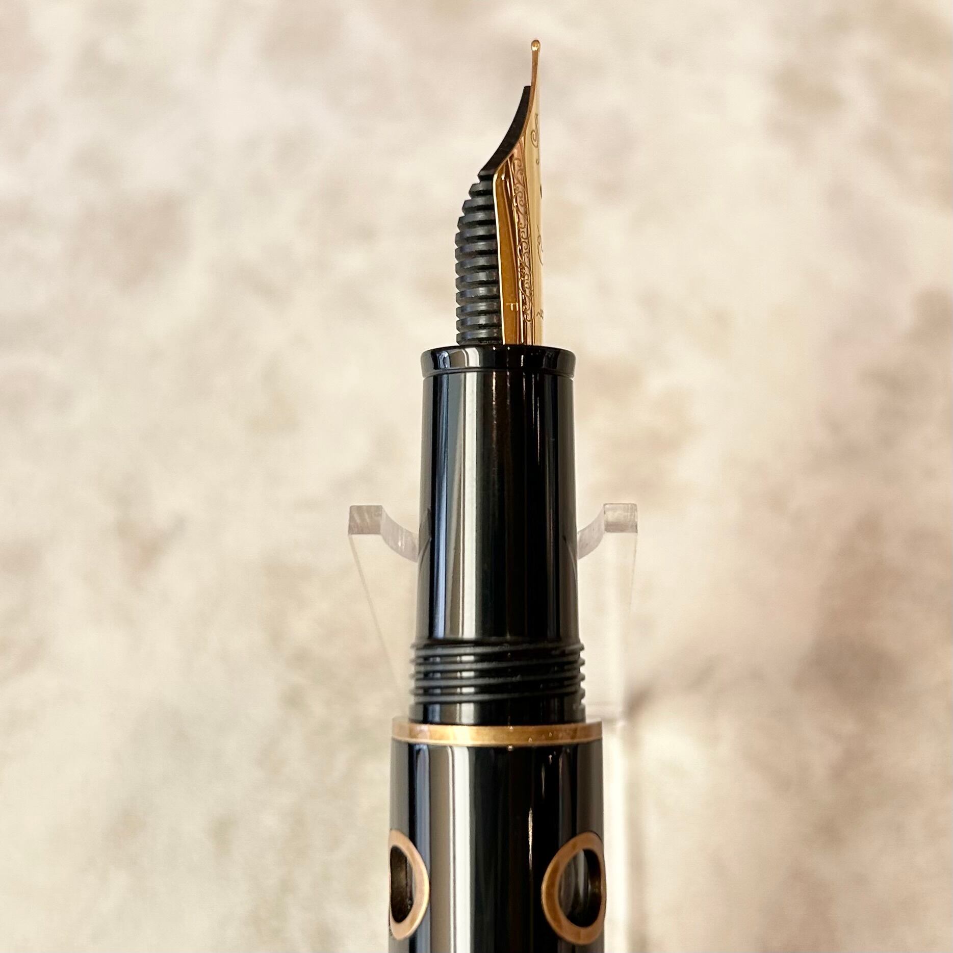 ナーヴァル ノーチラス万年筆「ブロンズコリドラス」／字幅F | ペンネ