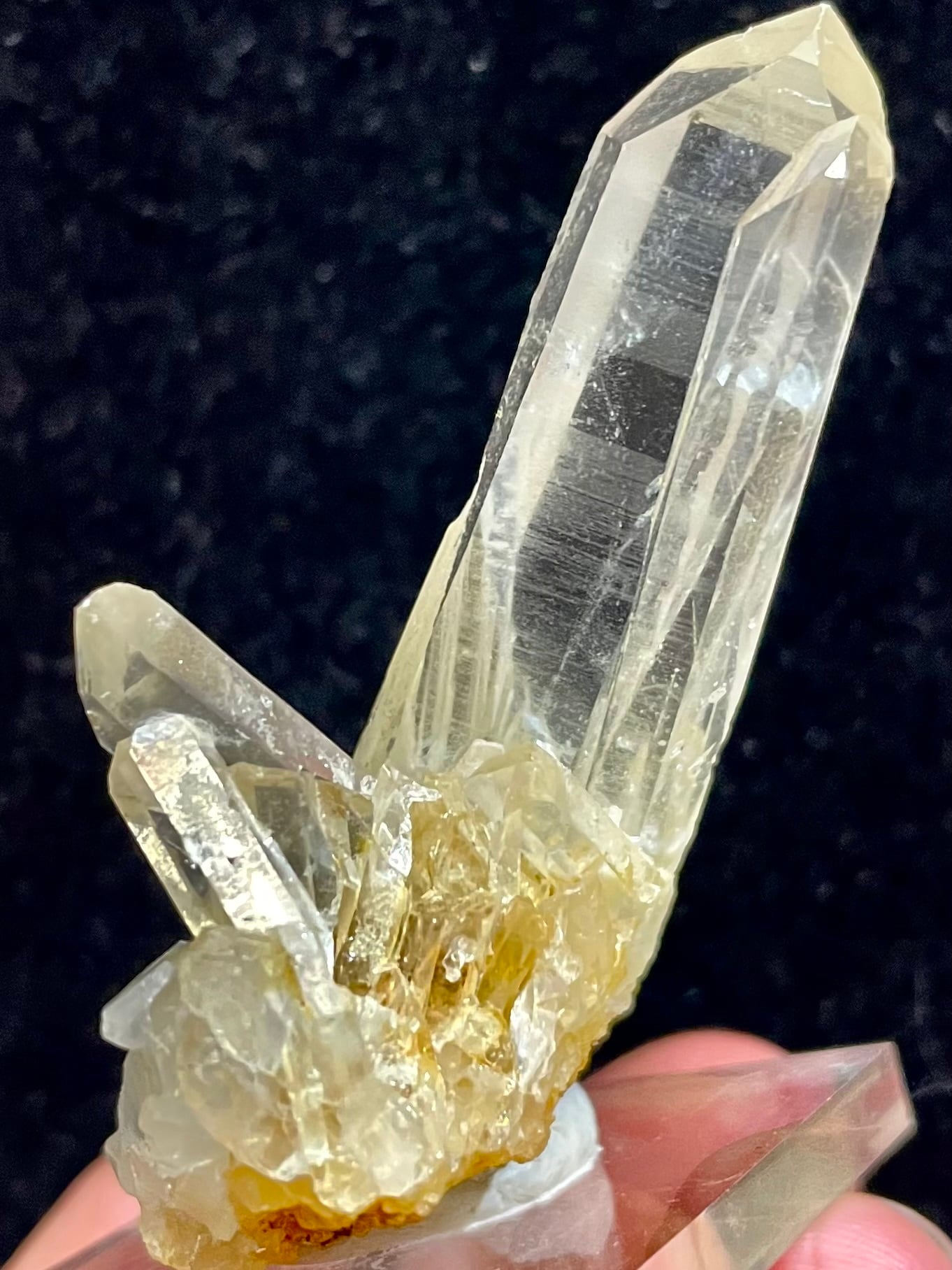 28) ロシアン・レムリアン(クラスター)レコードキーパー