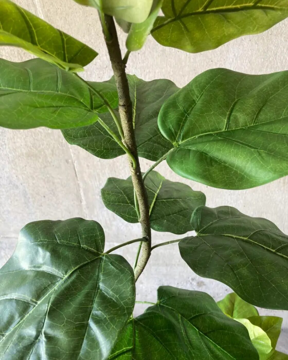 光触媒 人工観葉植物 ウォールグリーン フェイク 熱い アレンジ  