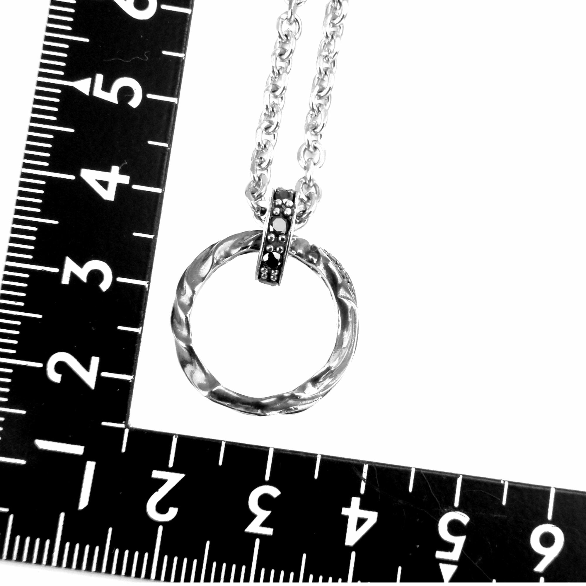 ドラゴンハートチャーム ACP0224 Dragon heart charm シルバー