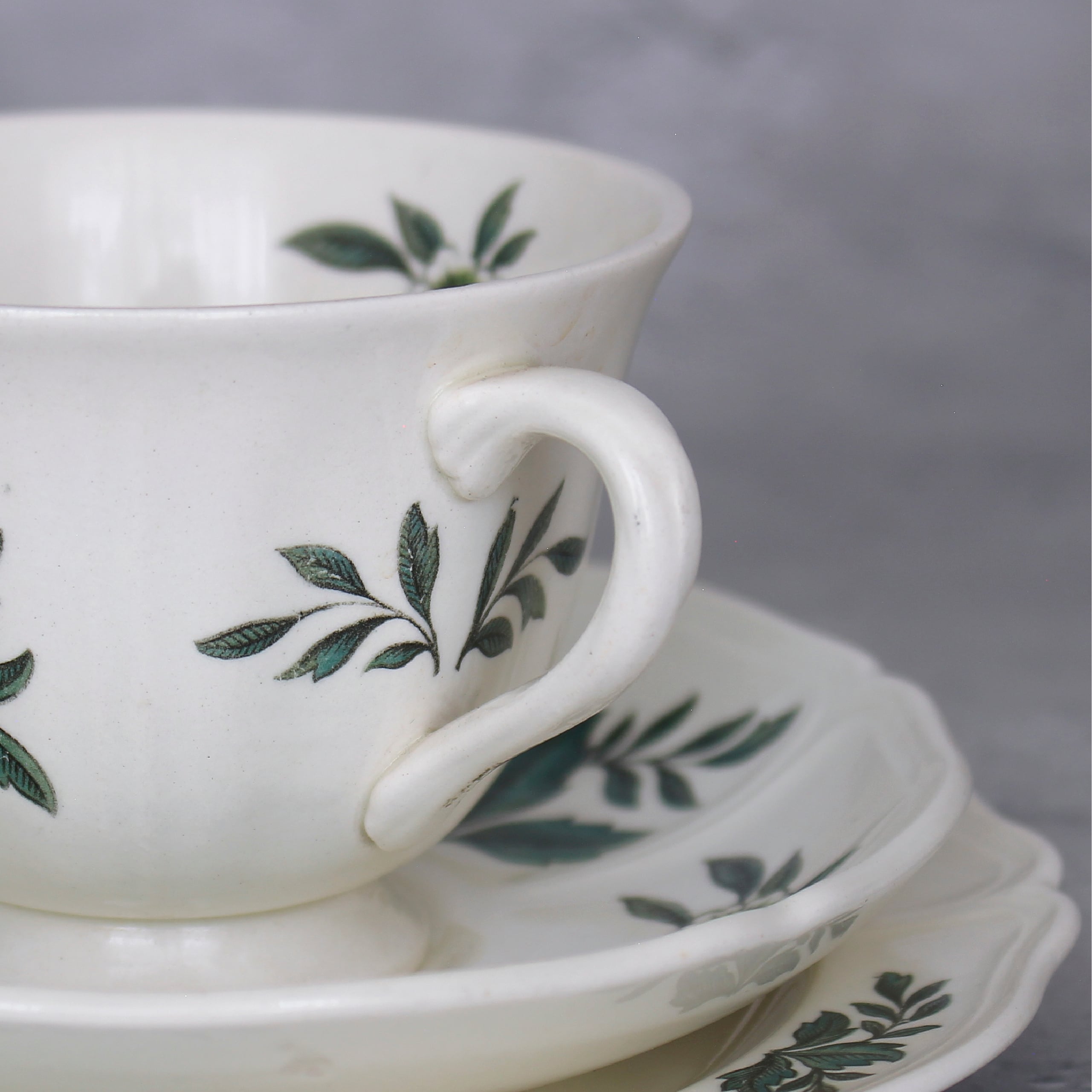 WEDGWOOD］グリーンリーフのトリオセット | semicolon