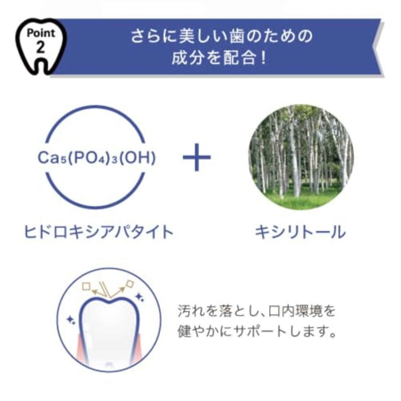 ポリリンキューブEX (エクストラミント)