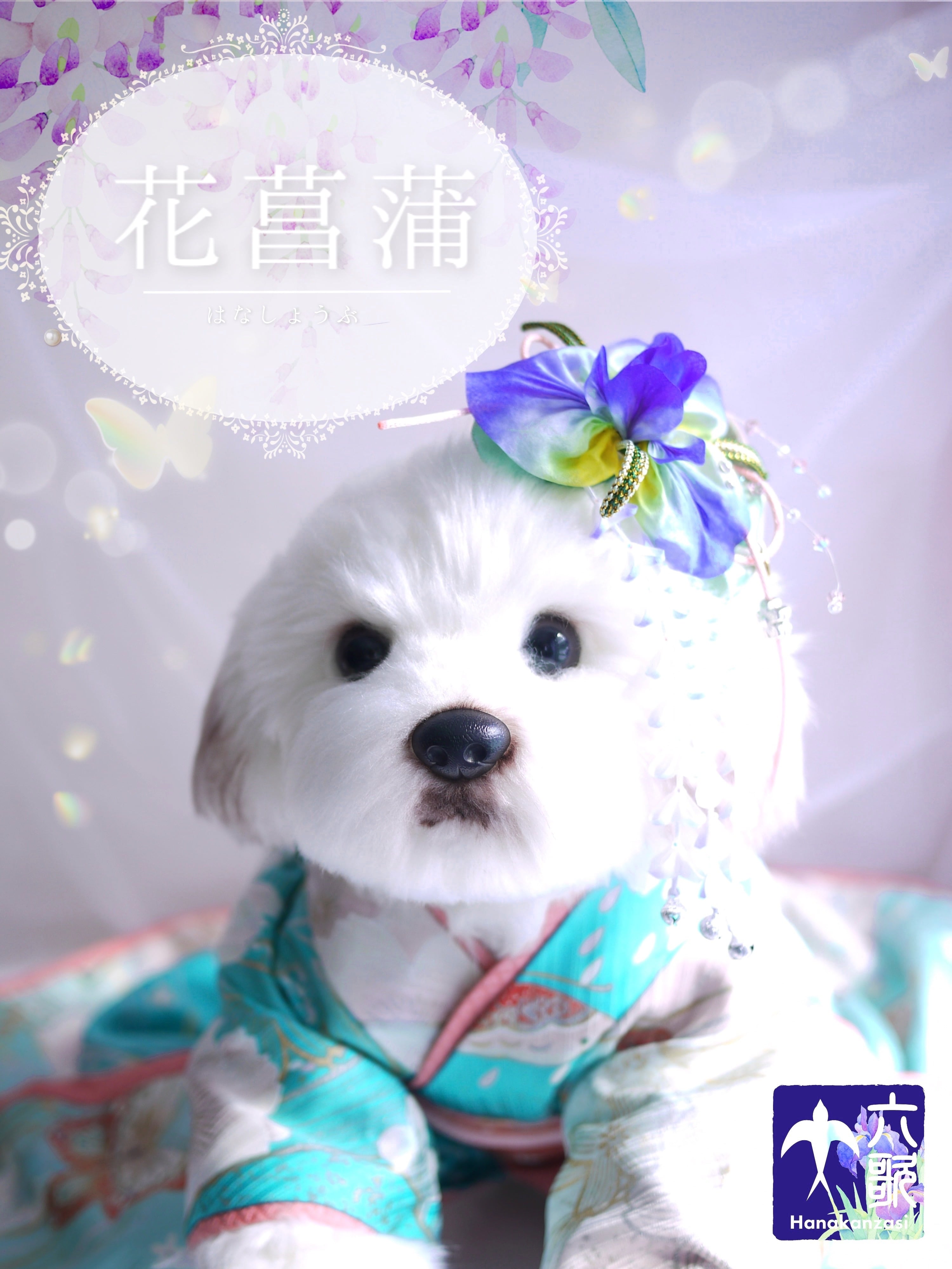 【花菖蒲】バレッタタイプ花かんざし