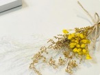 Solm体験ギフトセット