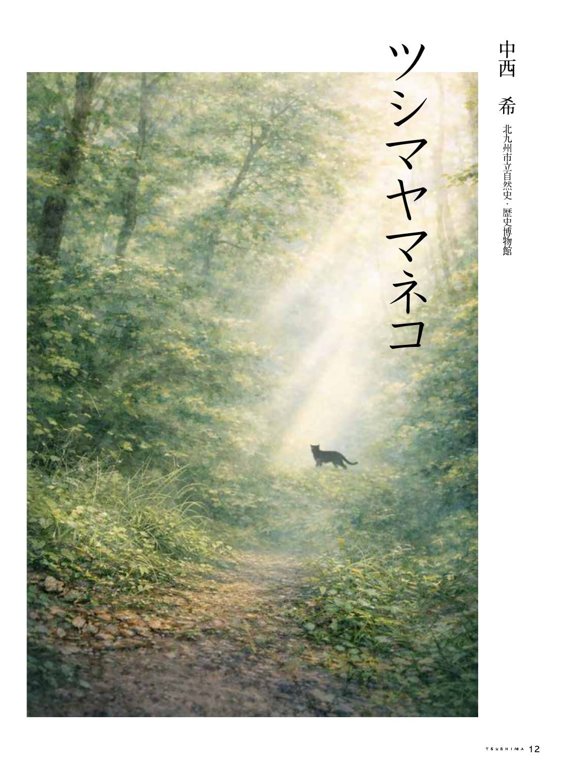 対馬の自然と文化 対馬の自然と文化を守る会 プロフ必読 対馬の自然と文化 対馬の自然と文化を守る会 プロフ必読 対馬の自然と