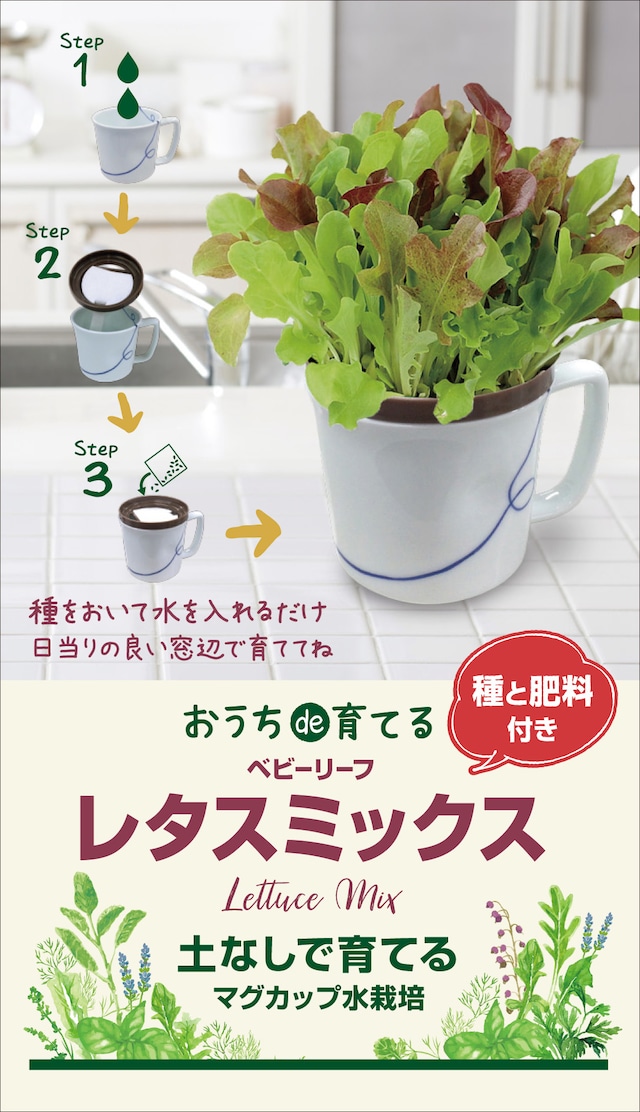 マグカップ水栽培　ハーブ野菜シリーズ「レタスミックス」送料込(種有効期限　2025年2月末）