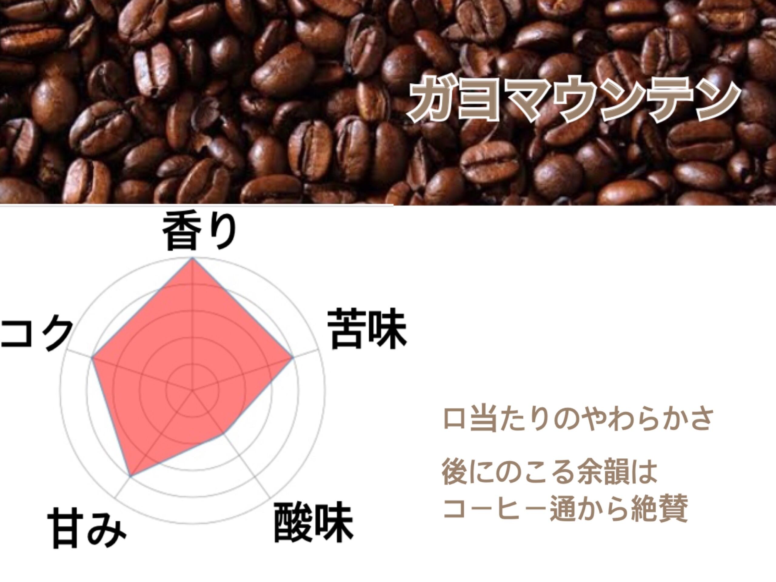 ガヨマウンテン(200g) | コーヒー通販 コーヒーカンタータwebshop