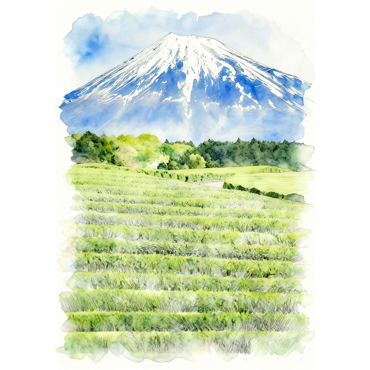 富士山 | インテリア絵画の専門店 ビッグフィールドギャラリー水彩/油絵