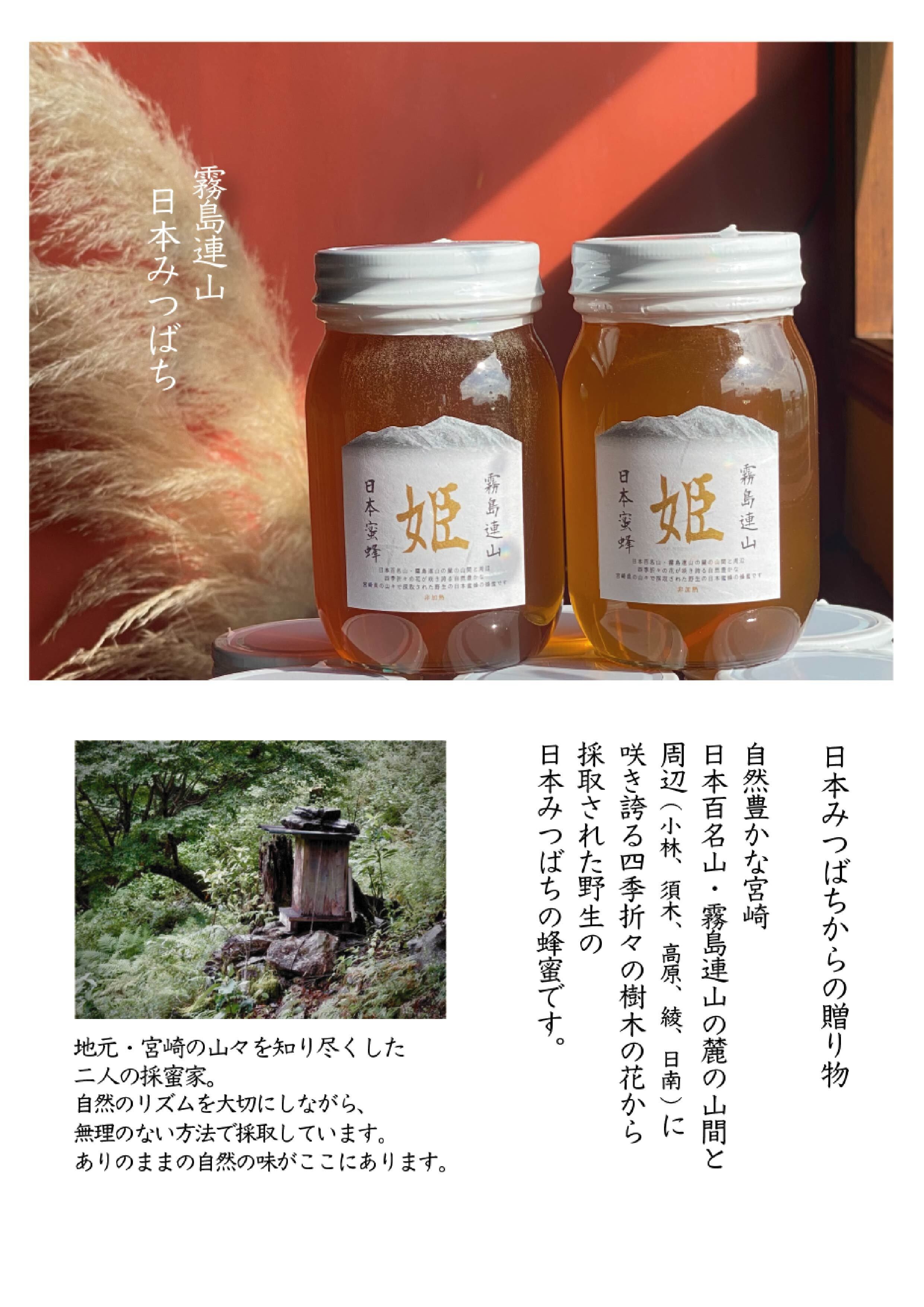 宮崎県 霧島連山】ニホンミツバチのはちみつ 450g 日本在来 野生種蜜蜂