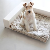 BUDDY BED WHITE