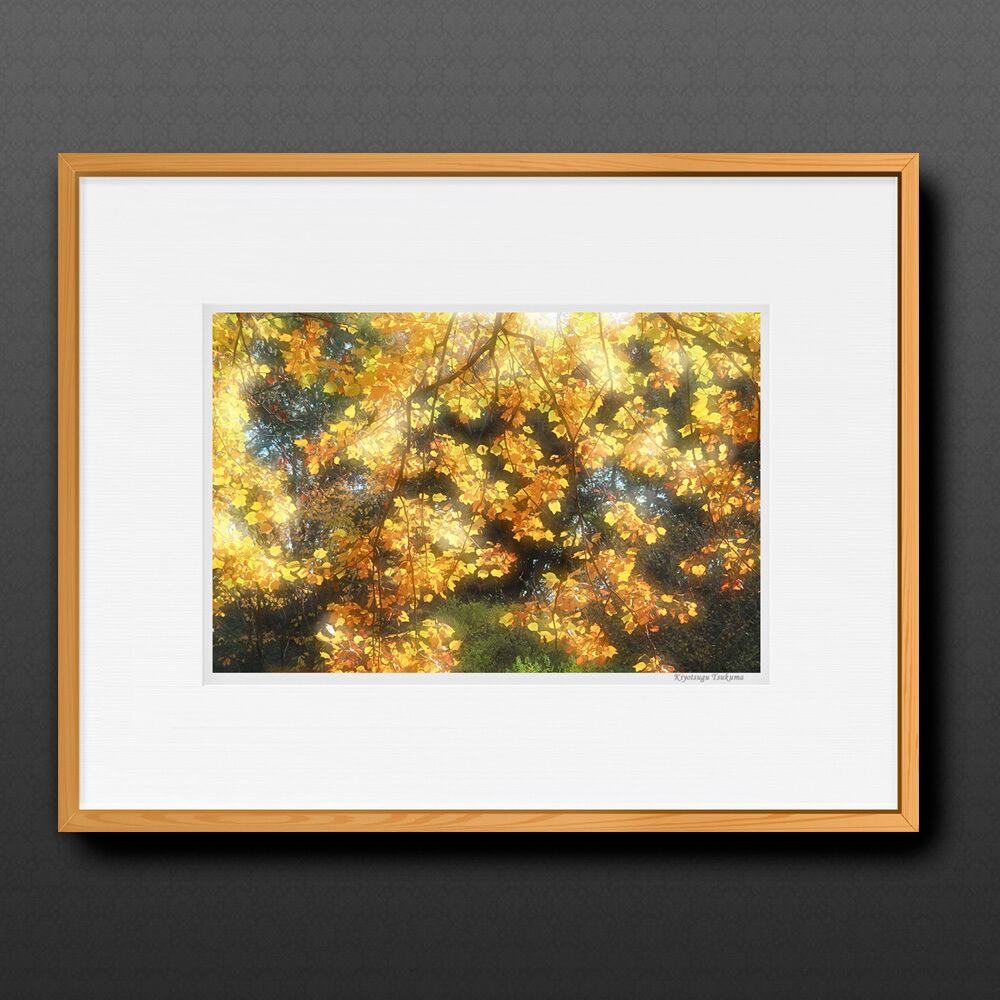 絹本　額縁　南天 904032d0658c9670e4d7e51cf38661