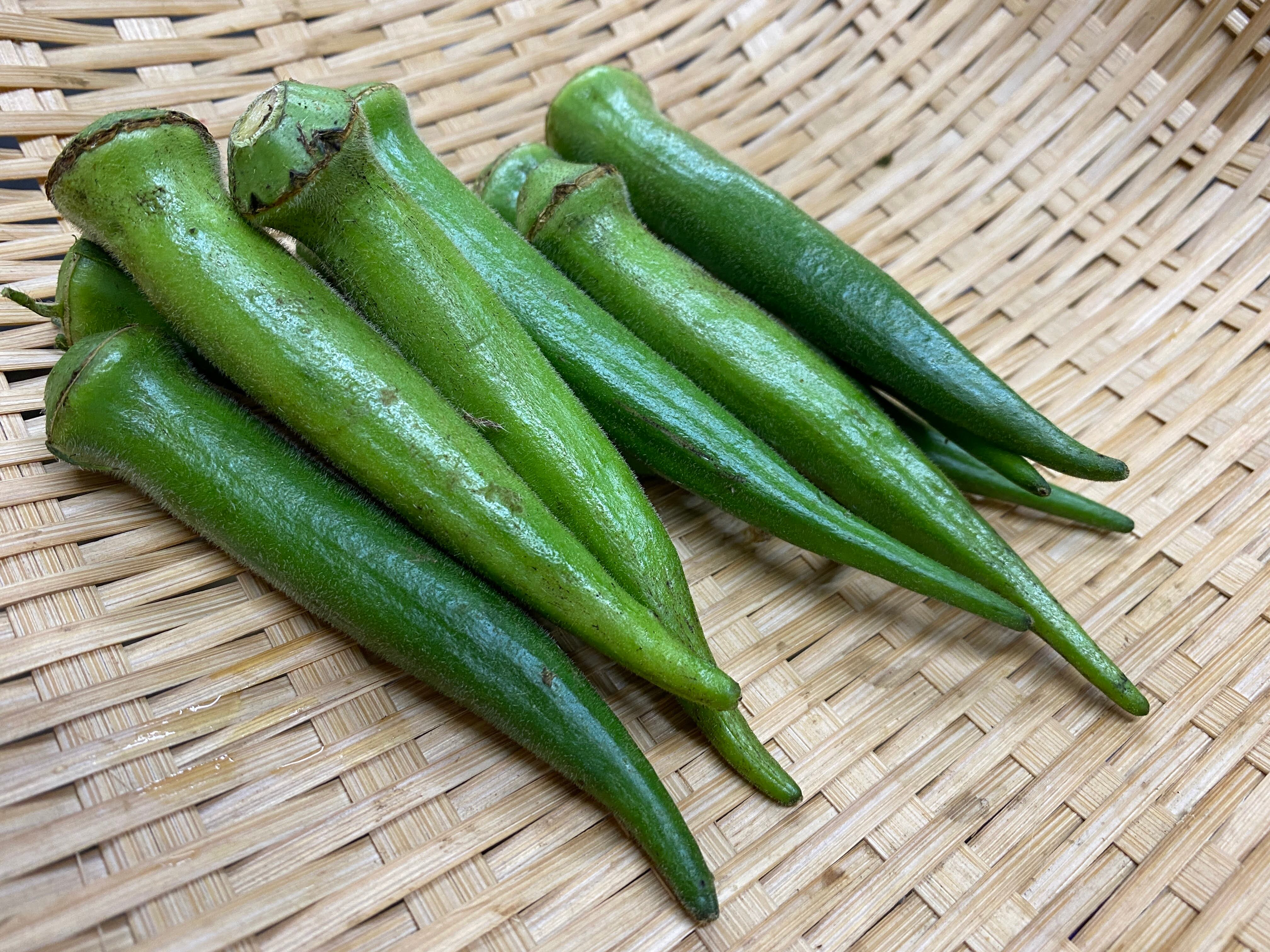 島オクラ 神奈川県 三浦産 PC=10本 | となり市場 産直三浦野菜 直売所