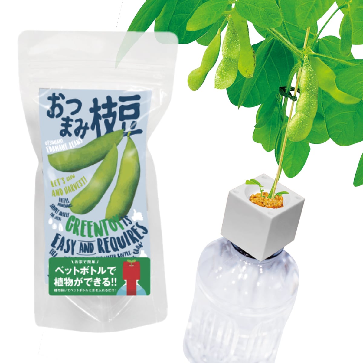 グリーントイ おつまみ枝豆 | SCHWINSEN | 室内園芸の専門店