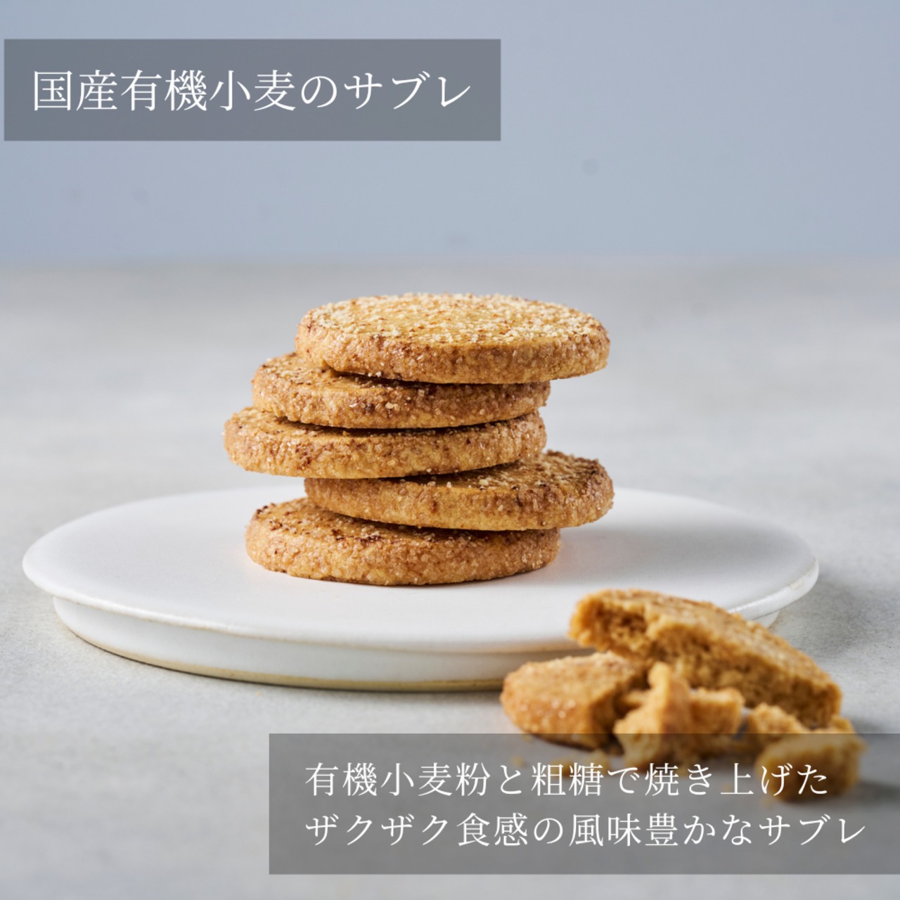 クリスマスエシカルコレクション【S】