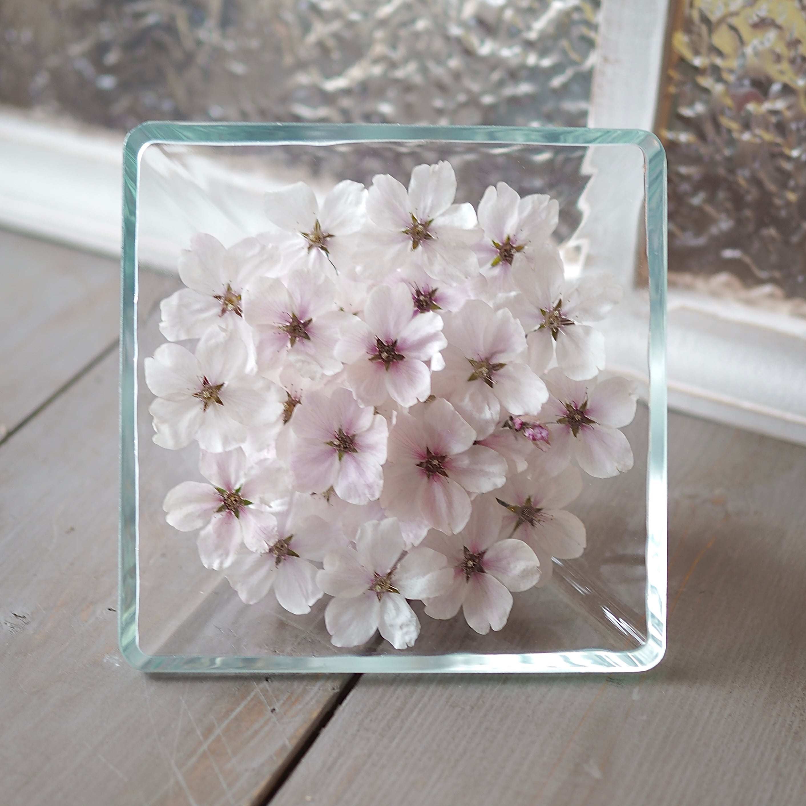 受注生産】ボトルフラワー 桜 ディッシュS | Oak House