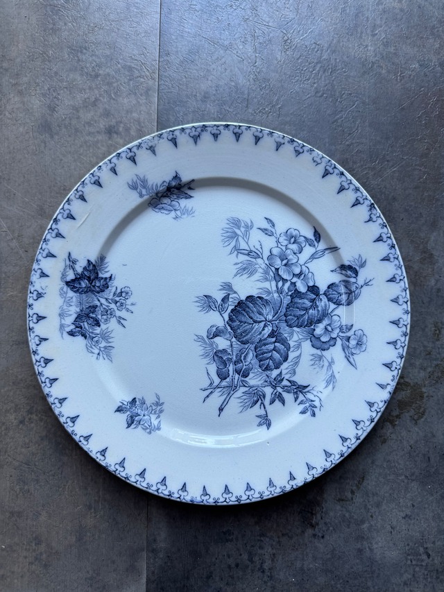 サルグミンヌ　ディナープレート