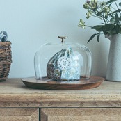 【ラスト1点】Glass Dome&Wood Plate