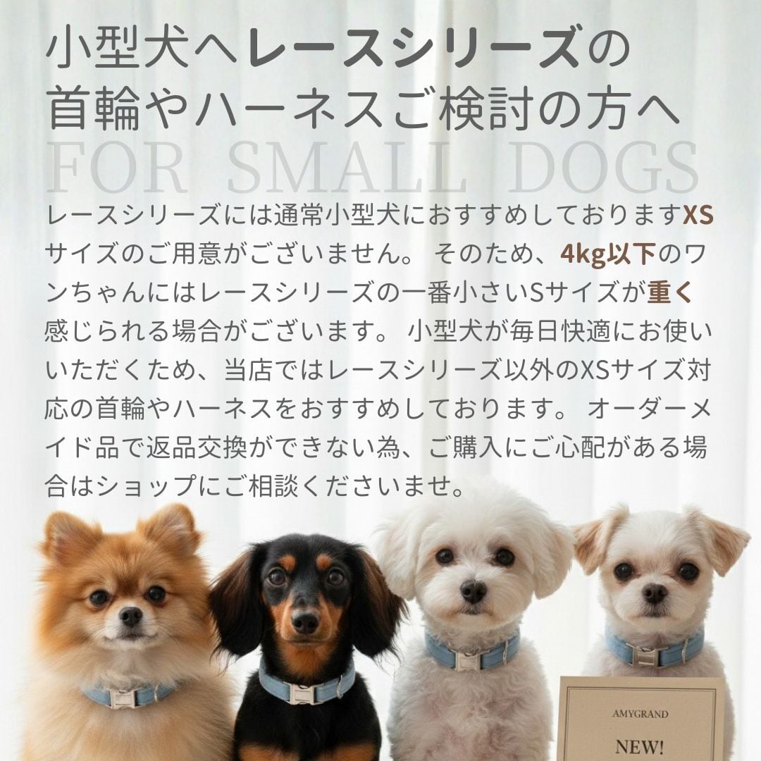 名入れ犬用首輪 【フリルレース×グリーン】迷子札付き｜リード追加可能