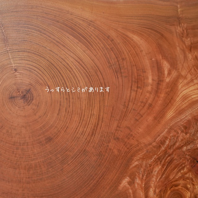 欅の輪切り コーヒーテーブル②（高さ・カラー変更無料）