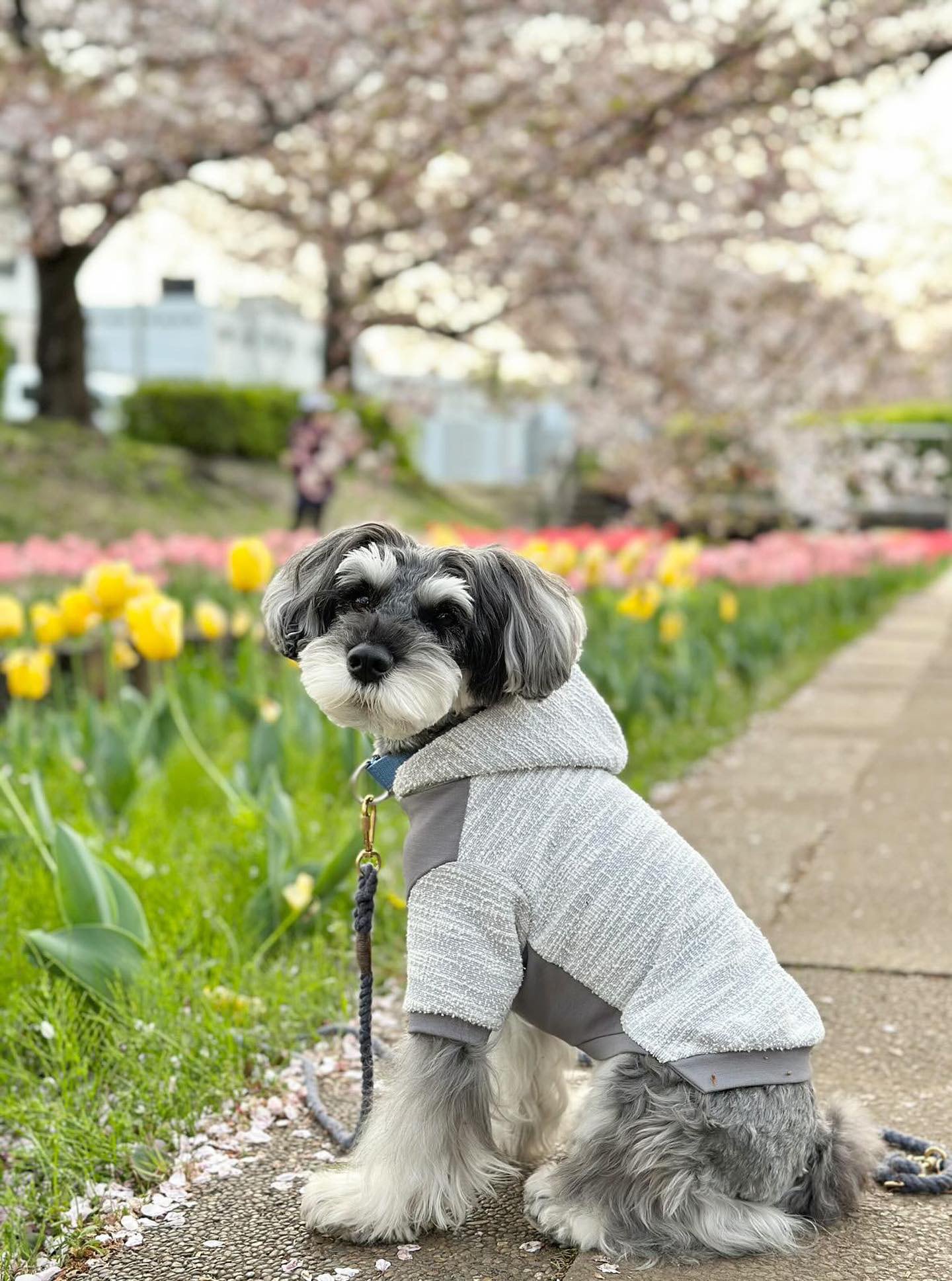 ジャージーツイード・パーカー 〈SAX GRAY＆GRAY〉 | n9un