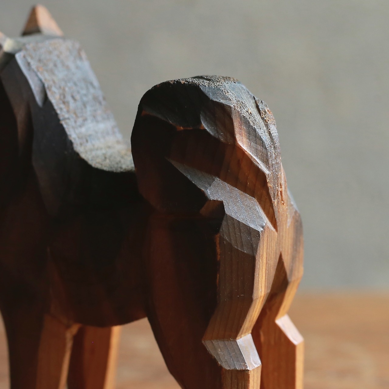 凛々しい立ち姿で、熱い視線を送る犬 1