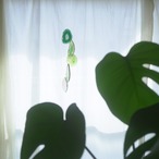 Ornithogalum - アゲートヒーリングチャイム / Agate Sun Catcher Wind Chime 118