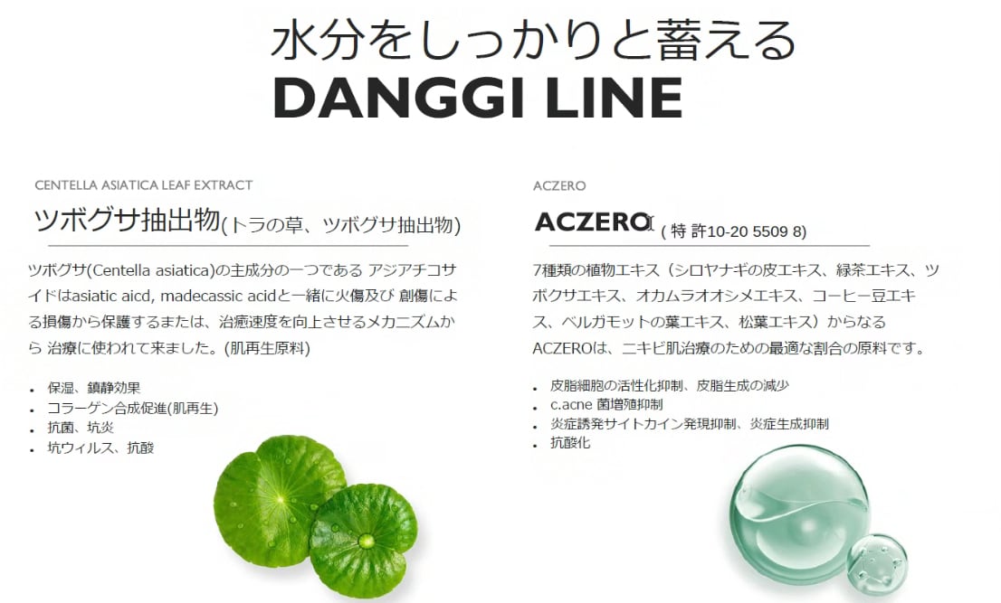 DANGGI BUBBLE TONER （イロン ダンギ バブル トナー）200ml | itta