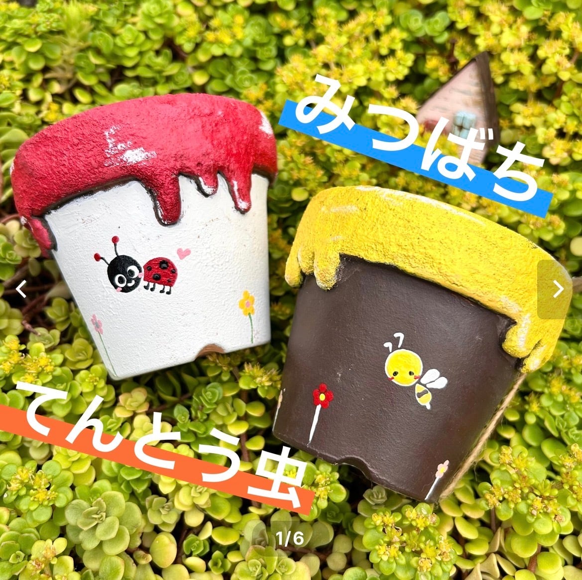 モルタル | RuPo 多肉植物専門店