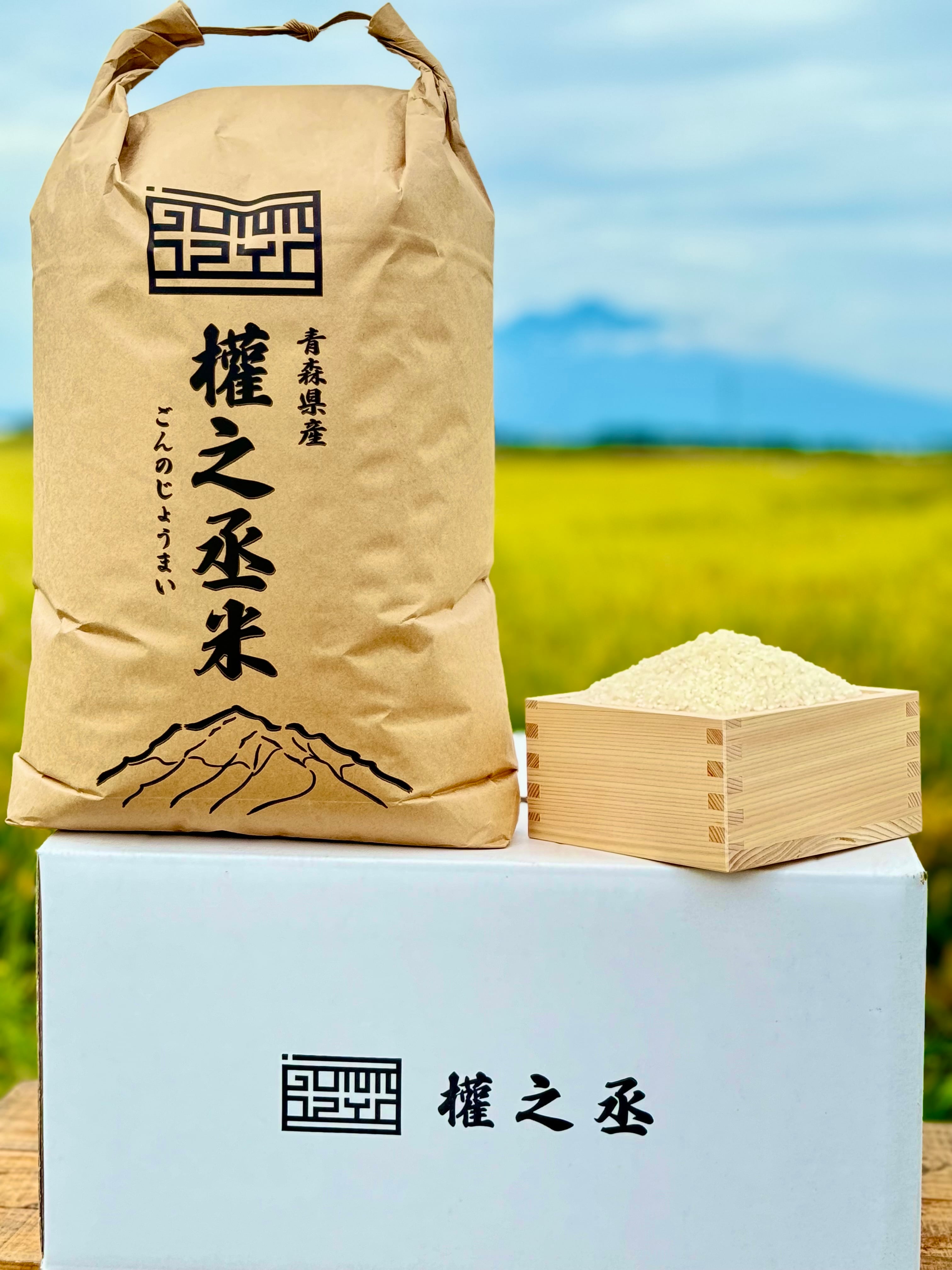 定期便　毎月1回お届け　青森米【まっしぐら】白米10kg