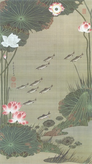 「動植綵絵」蓮池遊魚図（額付き）