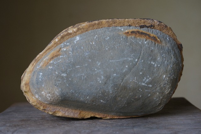 グランドキャニオン産堆積岩