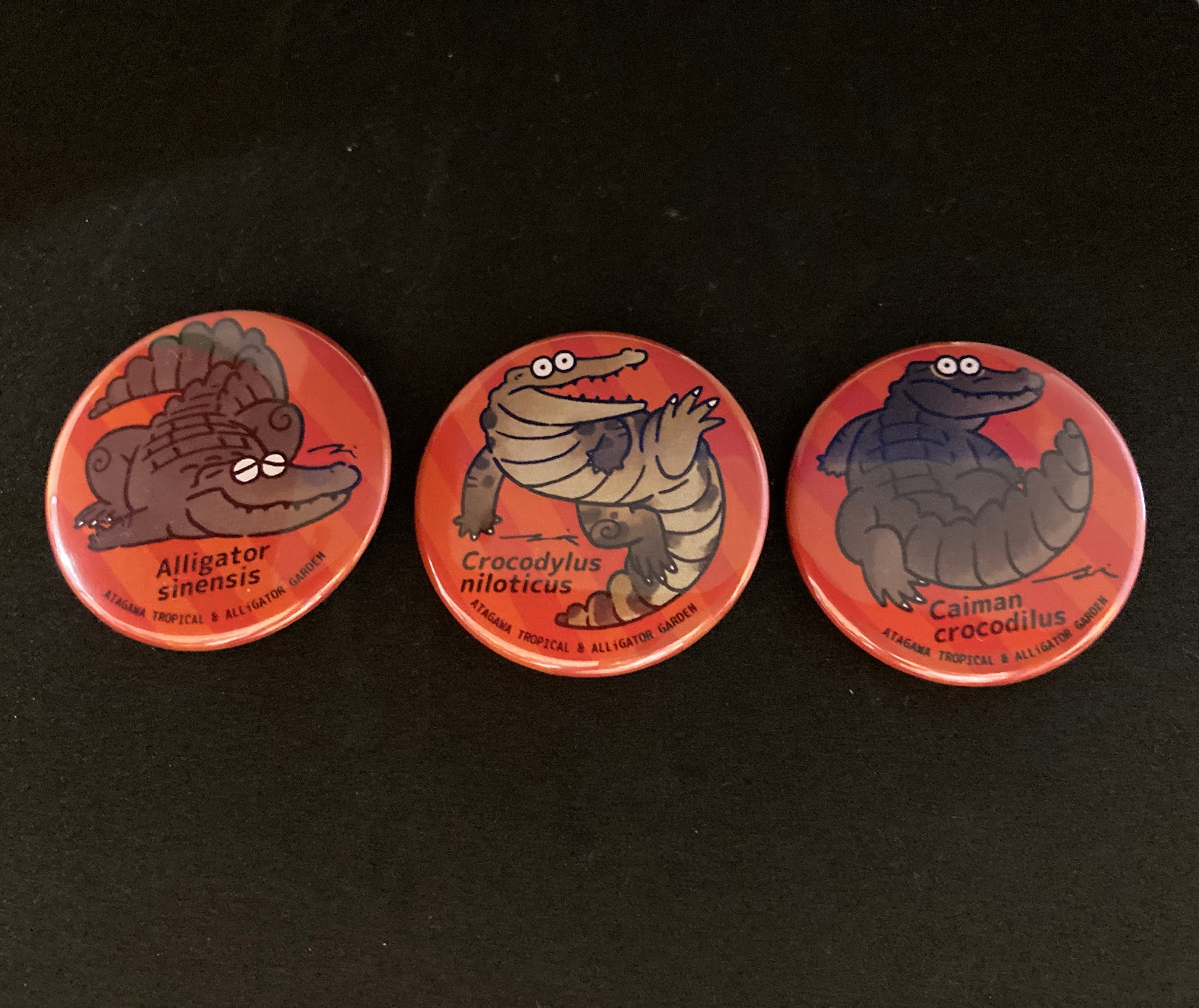 るかわ 缶バッジ ゆるふわ 缶バッジ – たちかわ観光ナビ｜立川観光コンベンション協会