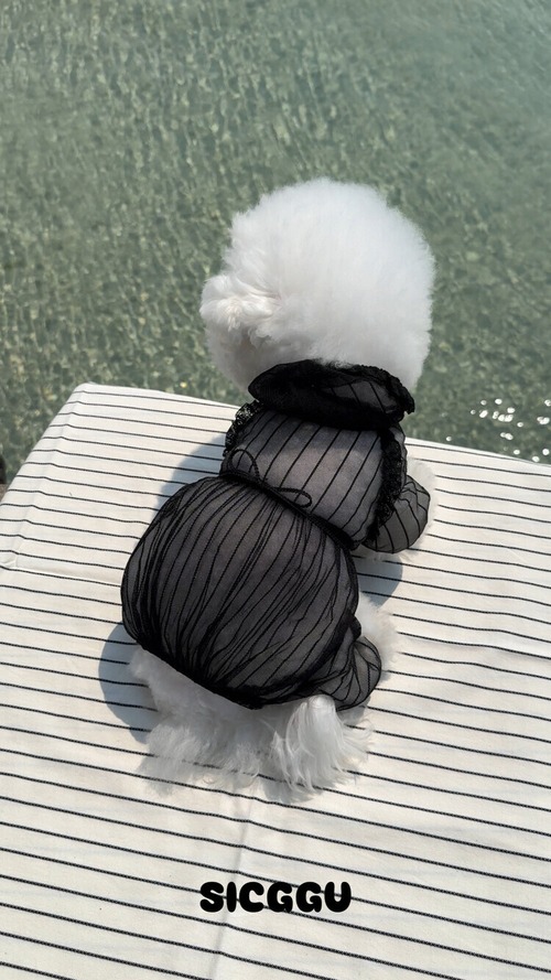 〈 即納アイテム 〉SICGGU ブラックバグオールインワン