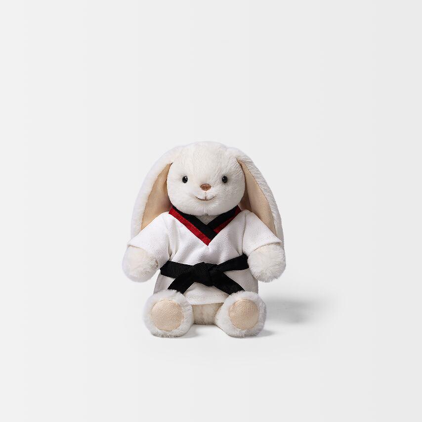 Taekwondo Smiling Leveret_MC400254