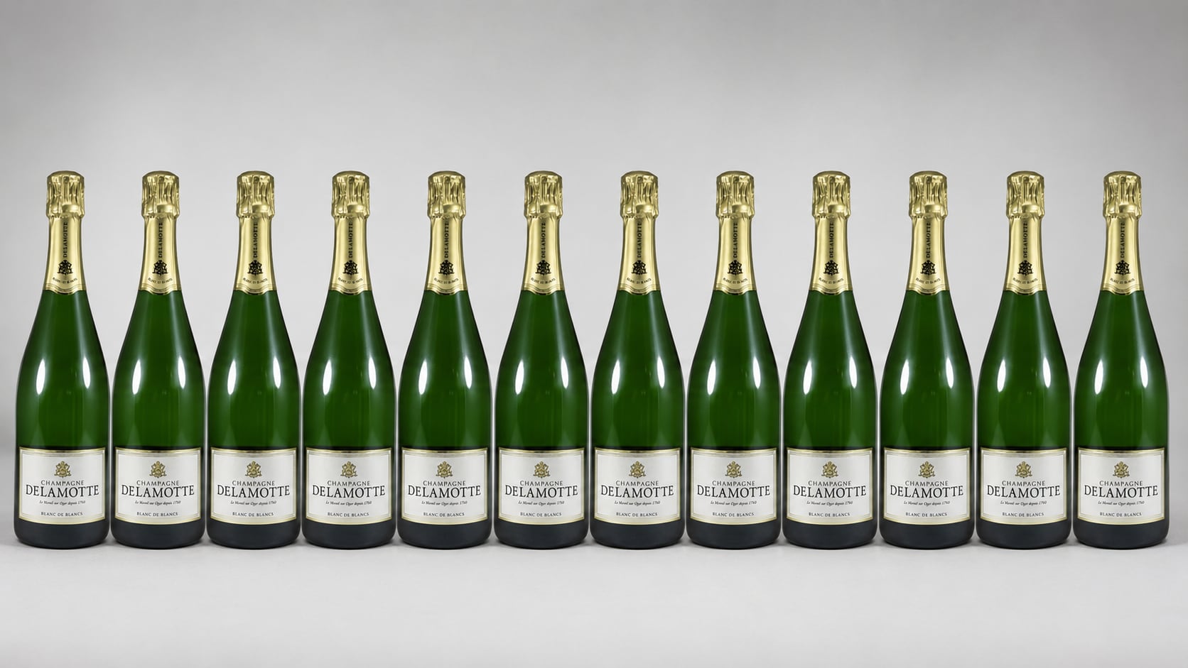 DELAMOTTE ブリュット シャンパン 750ml 2本セット 飲料・酒 DELAMOTTE ブリュット シャンパン 750ml 2本セット
