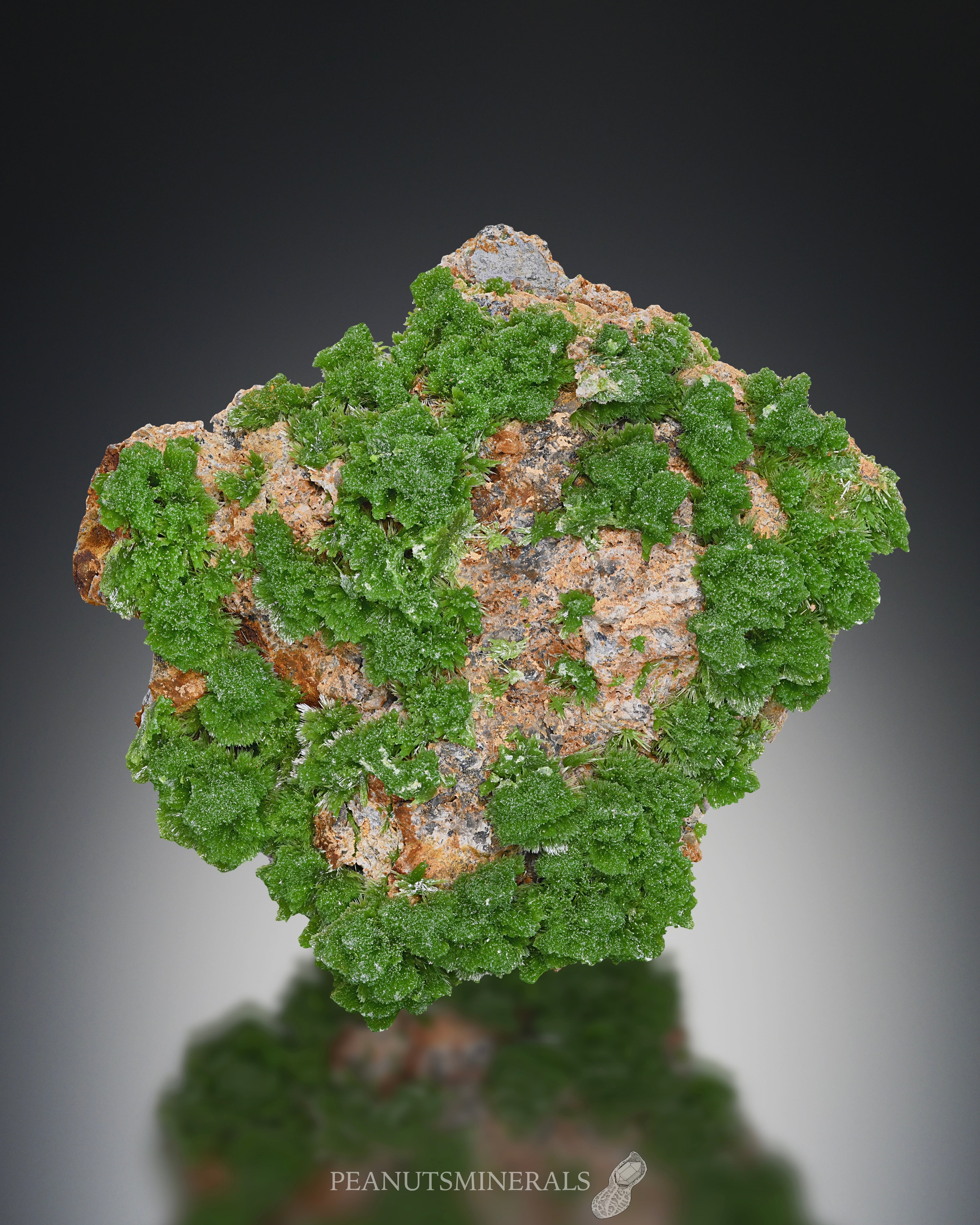 パイロモルファイト【Pyromorphite】フランス産 | PEANUTS MINERALS