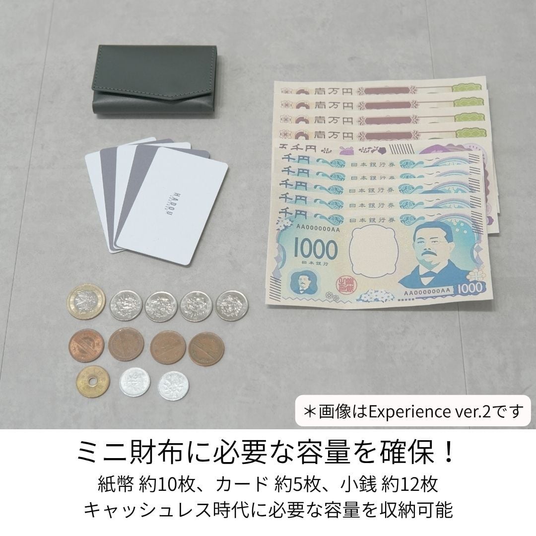 Experience ver.1】小さい財布 カードサイズ 極小ミニ財布 お札を折ら