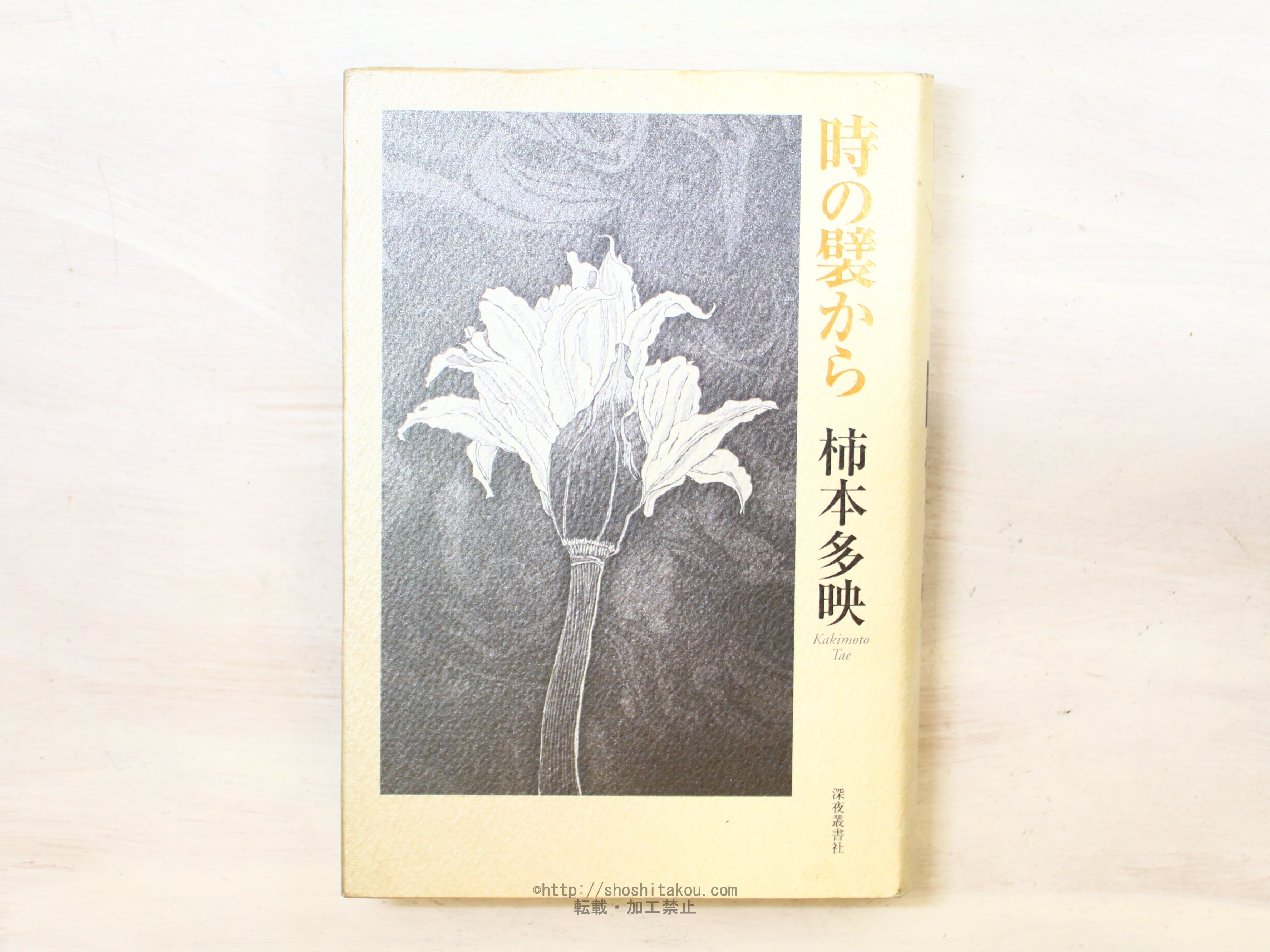 句集 夢谷 柿本多映 書肆季節社