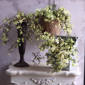 mondimanche　寄せ植え　ペトリエレターポット｜寄せ植え　届いてすぐ玄関に飾れる 　プレゼントにもオススメ　