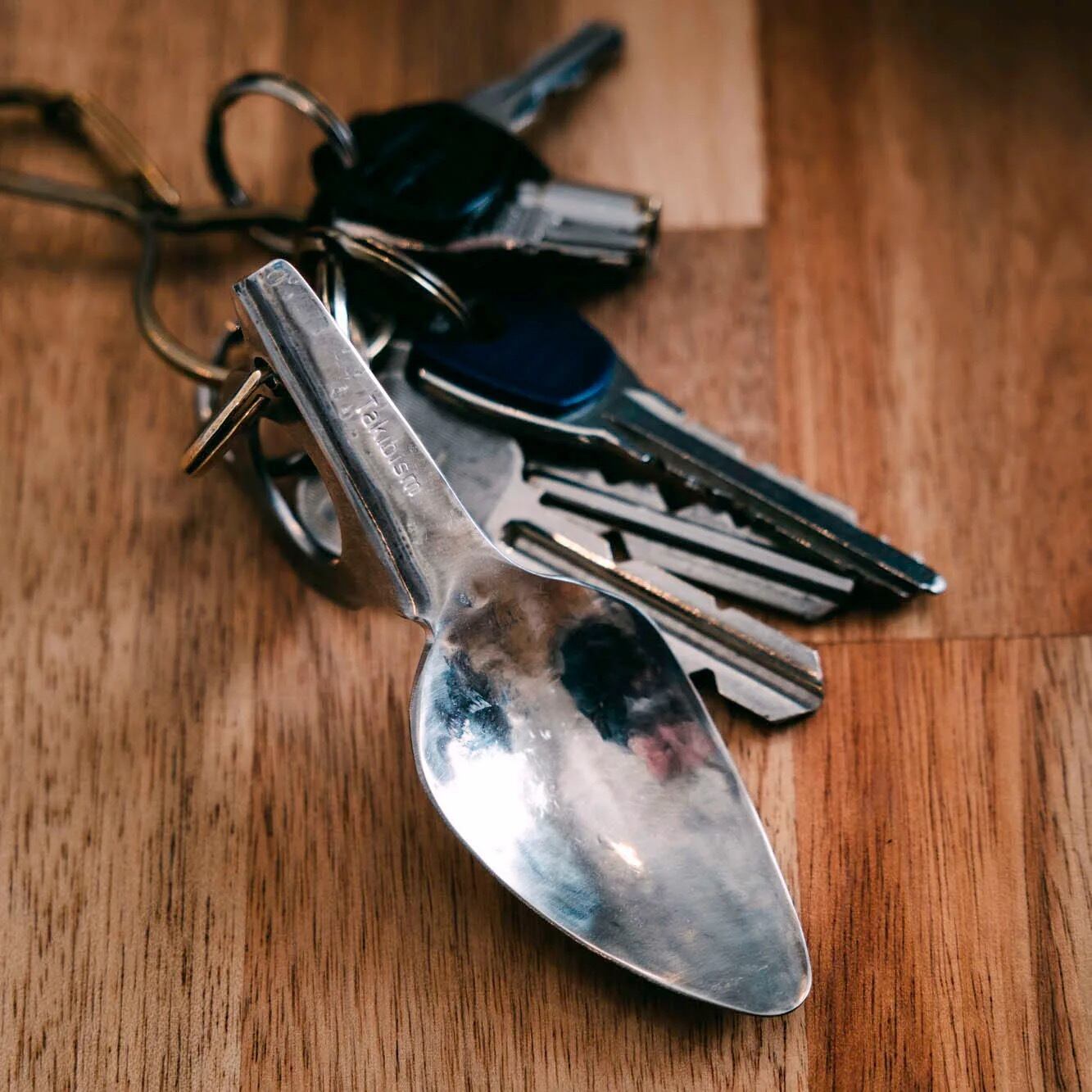 TAKIBISM IRON LEAF SPOON / タキビズム アイアンリーフスプーン | WOODS