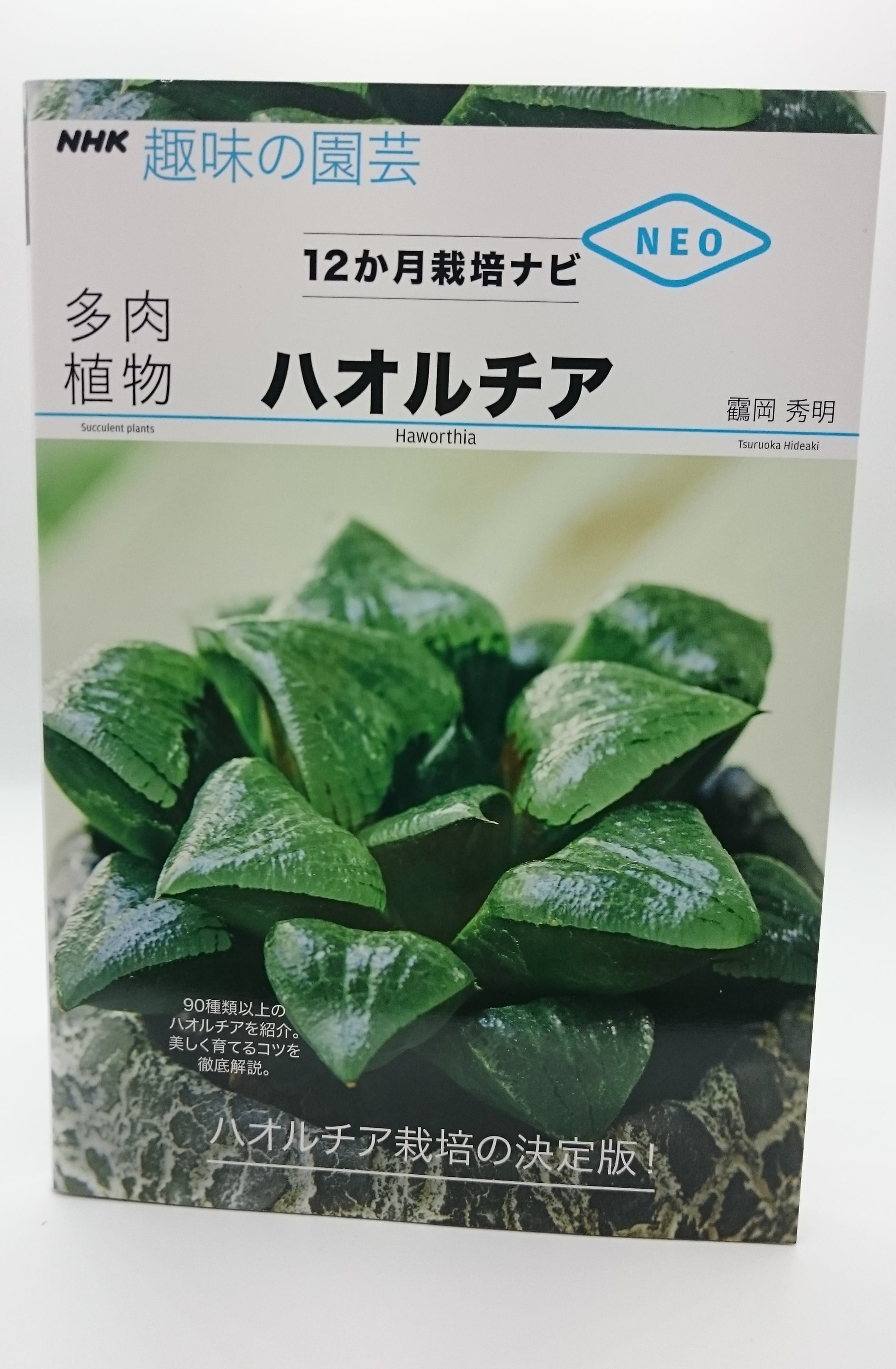 ハオルチア (NHK趣味の園芸 12か月栽培ナビNEO) | 弥生坂 緑の本棚