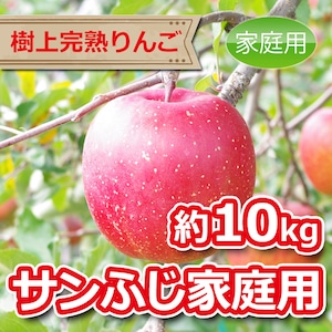 サンふじ 約10kg（12月上旬頃〜発送開始予定）