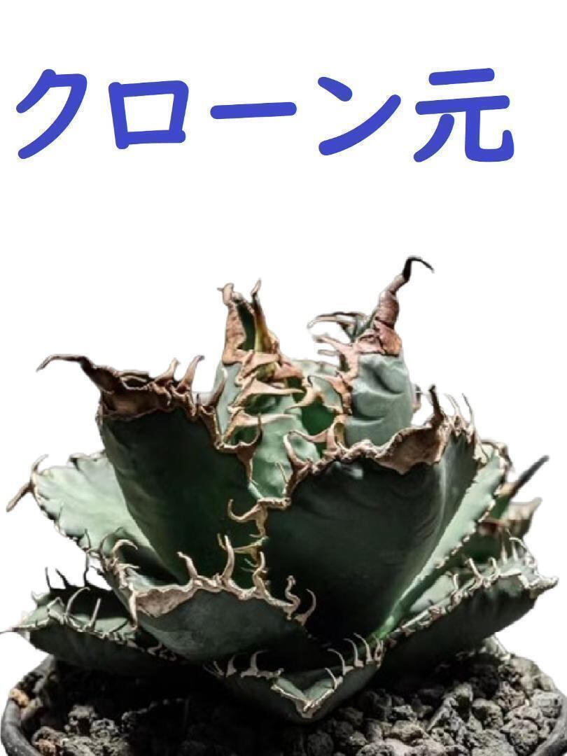 9078f2ae9b744093e7a562f18d0a7a 
