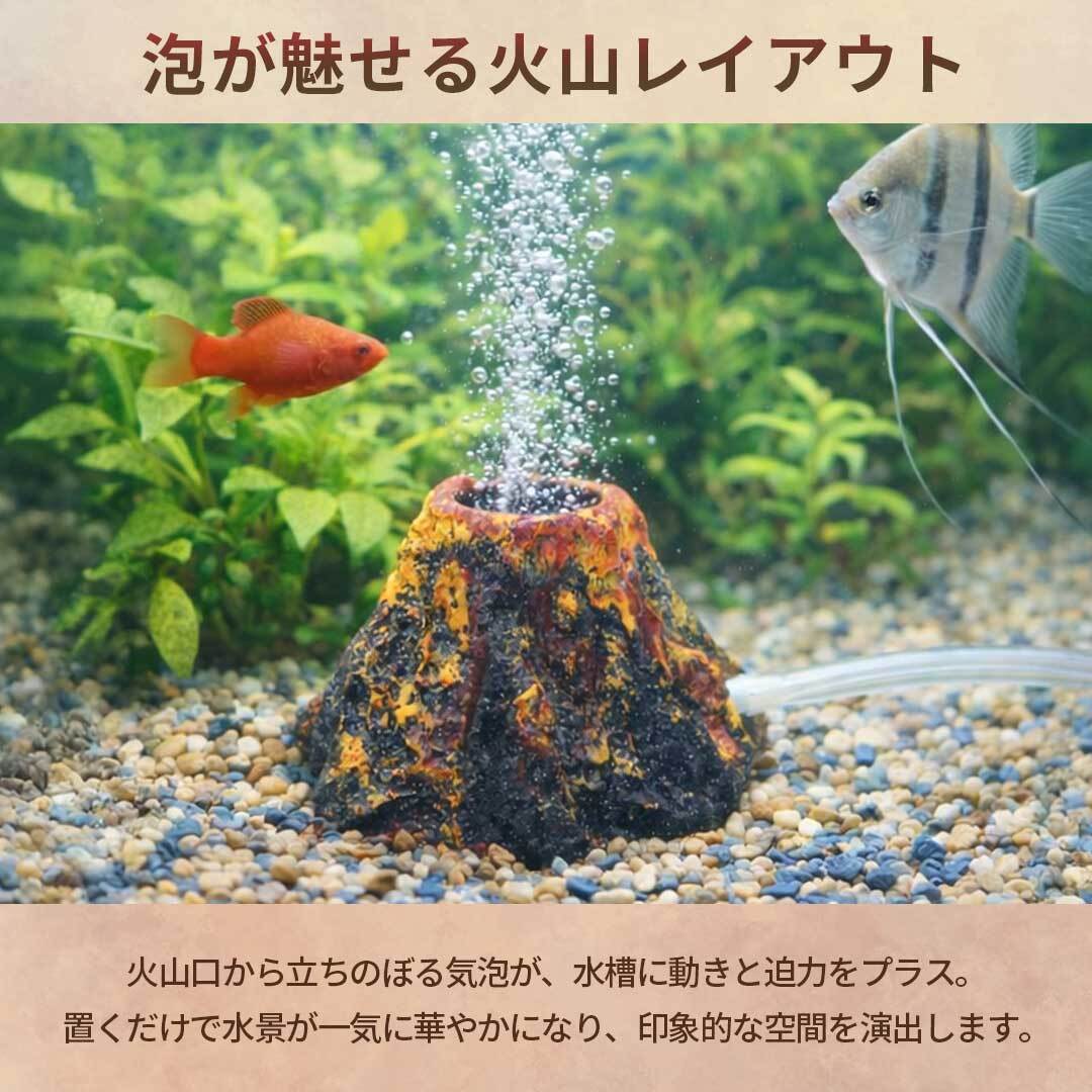 アクアリウム用品まとめ売り スリムアクアセット 200 DC-X SS1 | 水中生物用品・水槽用品 通販