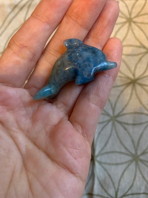 みゆきさん専用　トロレアイトイルカ