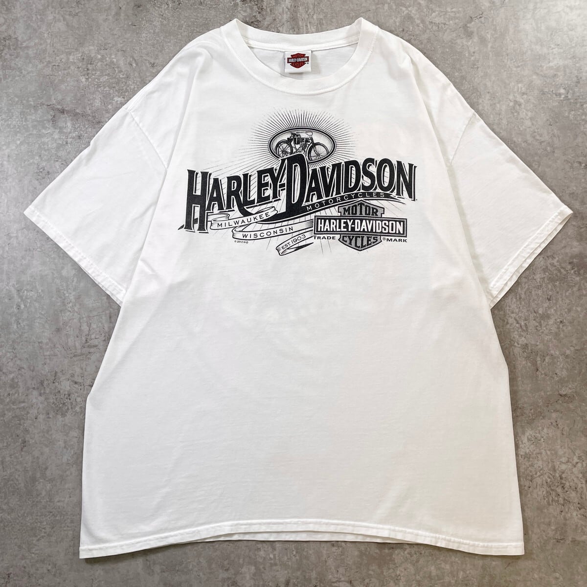 Harley-Davidson ハーレーダビッドソン ロゴプリントTシャツ メンズXL