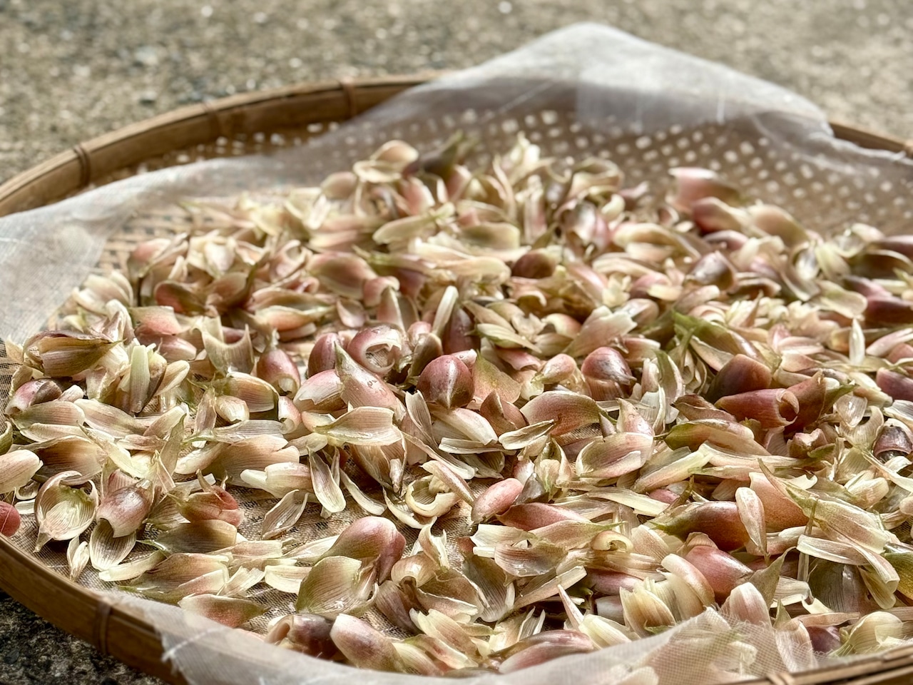 紅茶と茗荷と薔薇