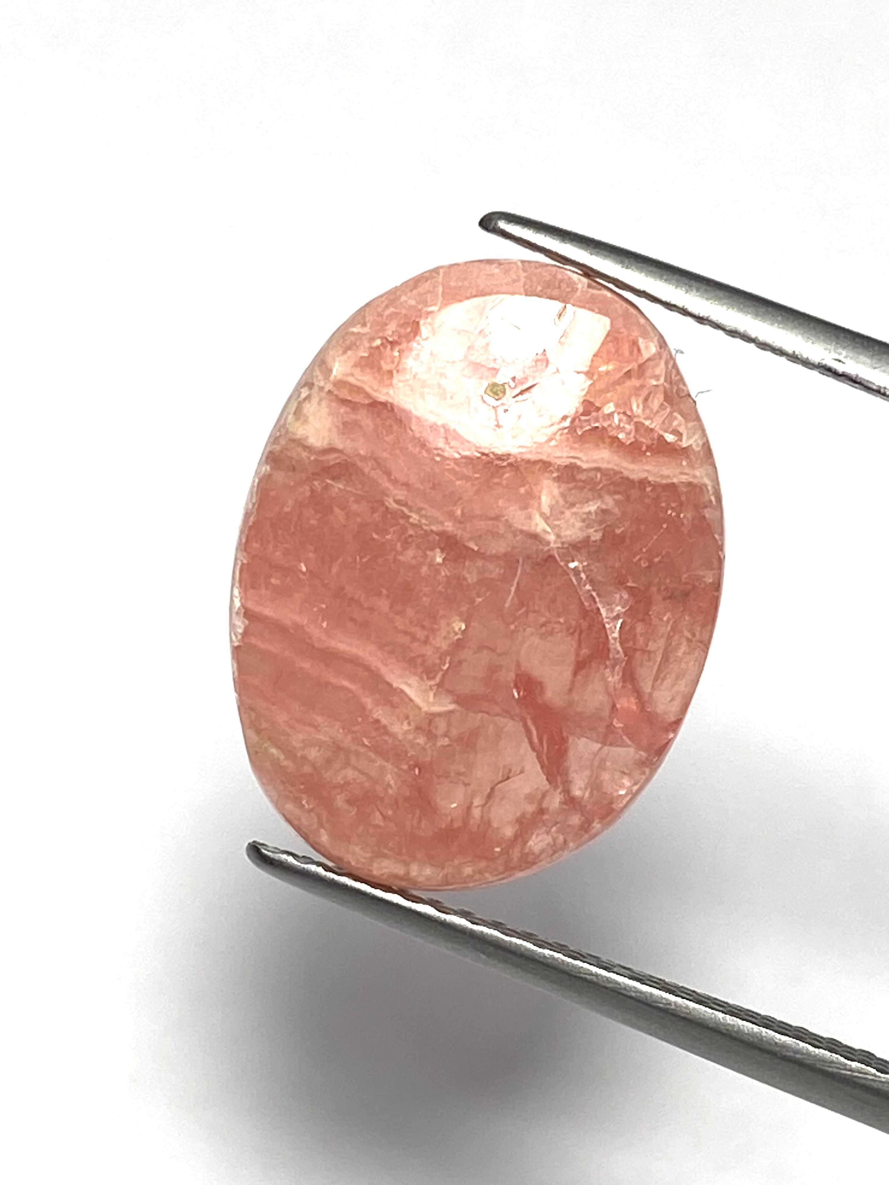 10.【￥2500均一】インカローズ［No.HA-3245］ | デザインアトリエ